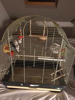 grasparkietjes koppel met kooi, Dieren en Toebehoren, Vogels | Parkieten en Papegaaien, Meerdere dieren, Parkiet, Tam