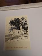 PETER VAN STRATEN., Ophalen of Verzenden