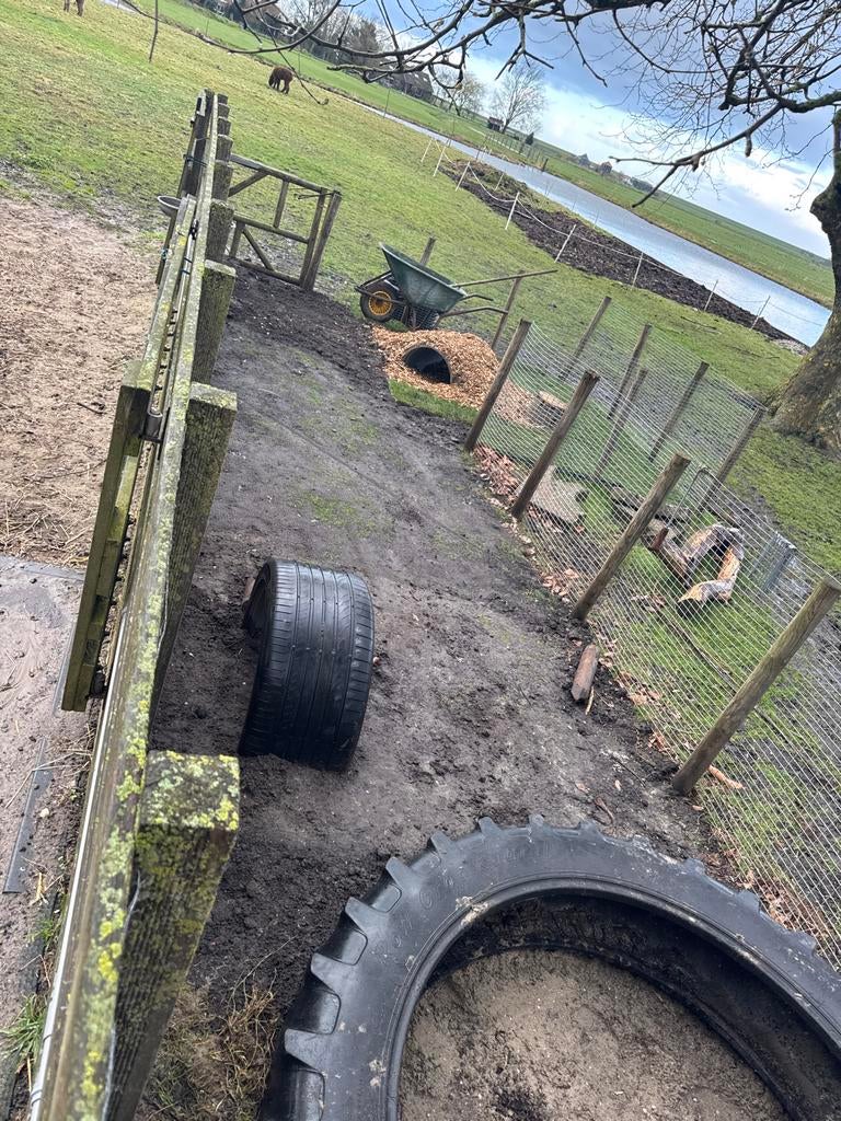 Graszoden voor konijnenhok gezocht, Ophalen, Gebruikt, Minder dan 10 m², Gras