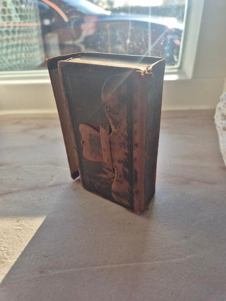 Oude Leren Bijbel - Het Nieuwe Testament (1884), Antiek en Kunst, Antiek | Boeken en Bijbels, Ophalen of Verzenden, Staten Generaal