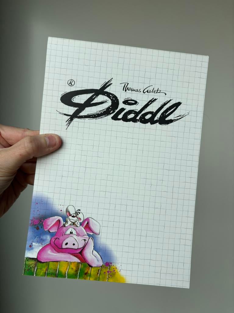 Diddl A5 blok nummer 166 zeldzaam, Ophalen of Verzenden, Zo goed als nieuw, Papier, Kaart of Schrift