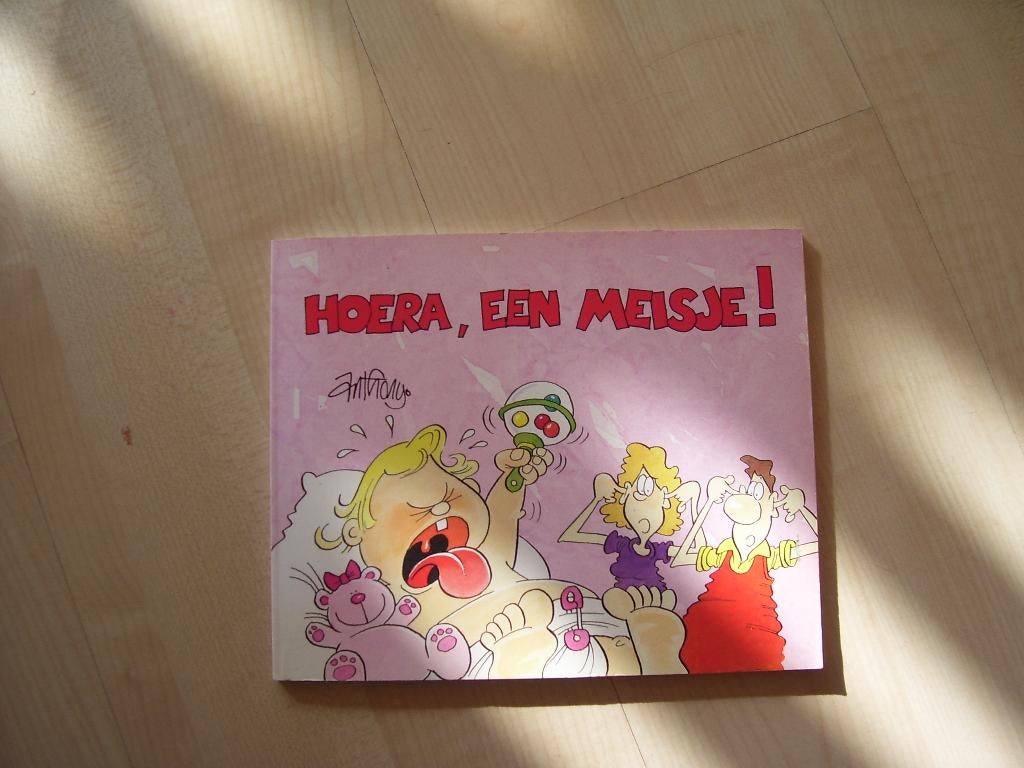 Boek Hoera een Meisje, Ophalen of Verzenden, Gelezen, Verhalen