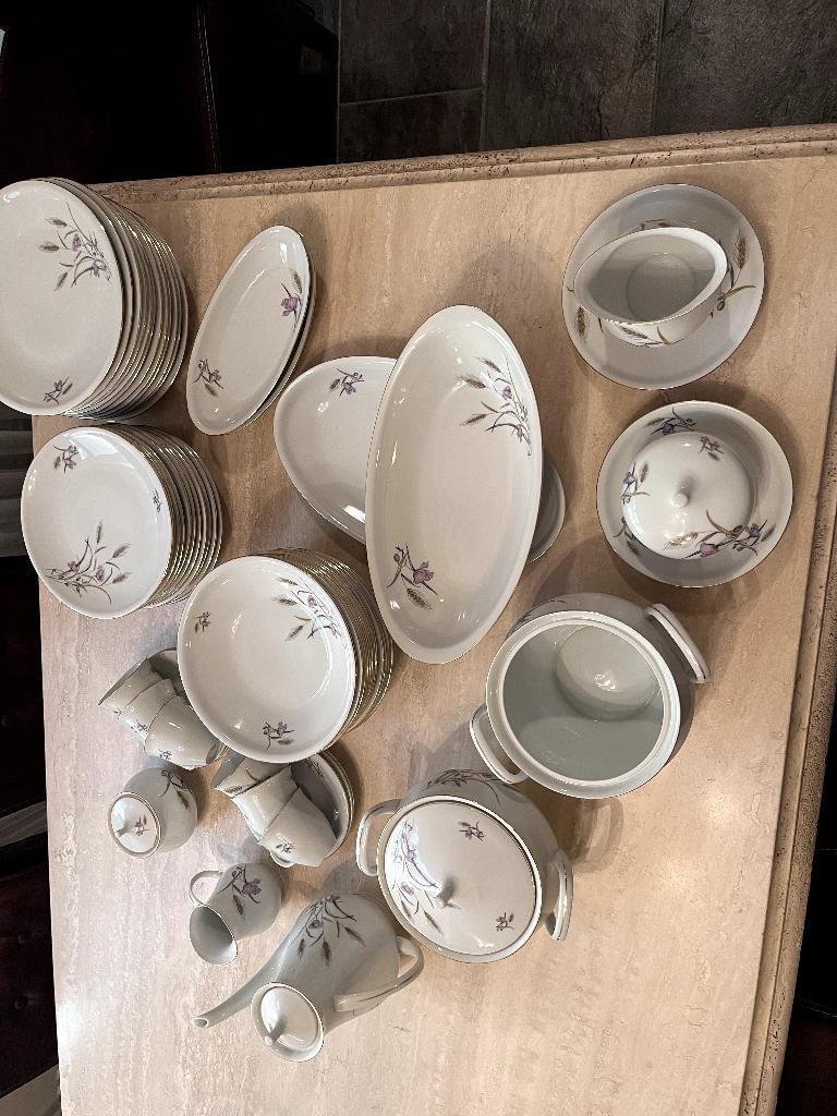 servies nooit gebruikt, Huis en Inrichting, Keuken | Servies, Ophalen of Verzenden, Nieuw, Porselein, Overige stijlen