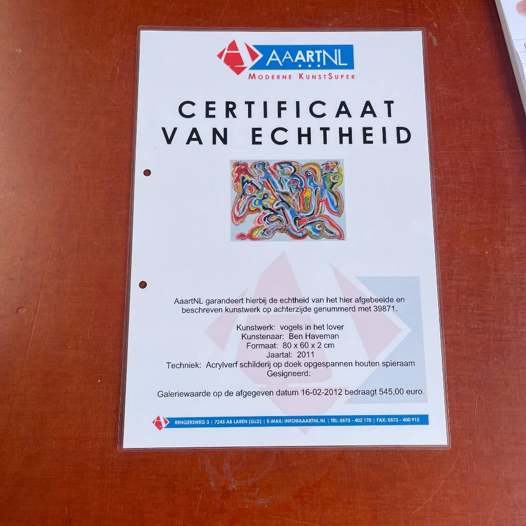 Schilderij Ben Haveman (1950) - Vogels in het Lover 80x60cm, Ophalen of Verzenden