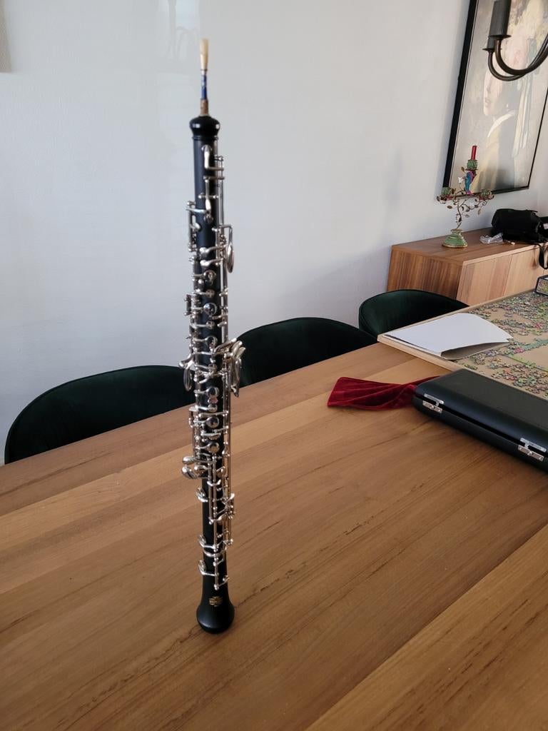 Hobo, Ophalen of Verzenden, Zo goed als nieuw, Met koffer