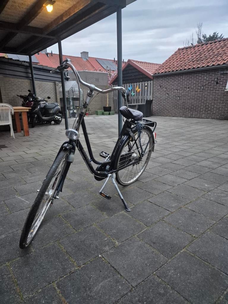 Gazelle Impala damesfiets, framemaat 53, Ophalen, Velgrem, Gazelle, 53 tot 56 cm