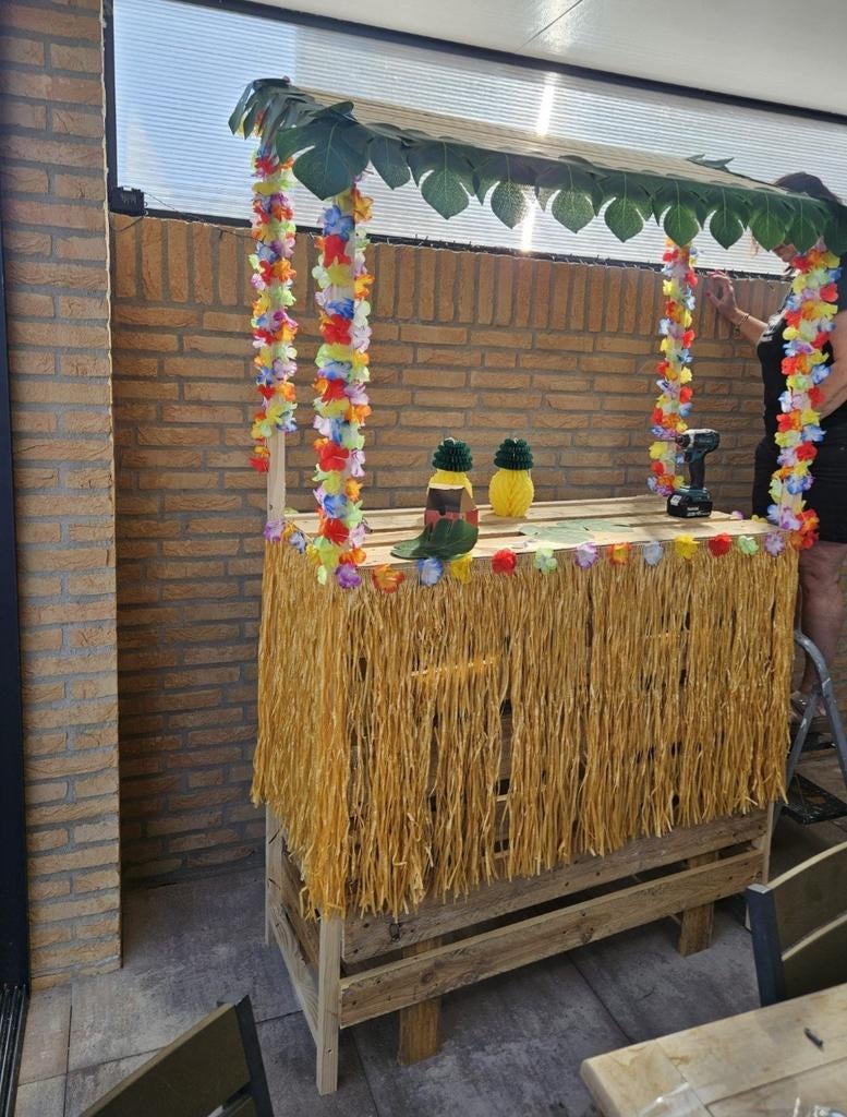 Tikkie Buitenbar - Perfect voor elk feest!, Ophalen of Verzenden, Gebruikt, Vrijstaand
