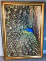 Groot schilderij pauw in gouden lijst, Ophalen of Verzenden
