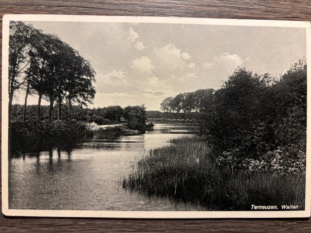 Ansichtkaart Terneuzen - Wallen, Ophalen of Verzenden, 1940 tot 1960, Ongelopen, Zeeland