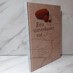 Ds. B. Reinders. Een uitverkoren vat., Boeken, Godsdienst en Theologie, Ophalen of Verzenden, Gelezen, Christendom | Protestants