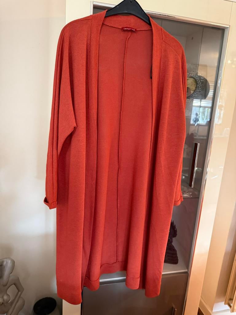 Laura di Sarpi vest maat 42 oranje-bruin, Kleding | Dames, Ophalen of Verzenden, Zo goed als nieuw, Maat 42/44 (L), Oranje