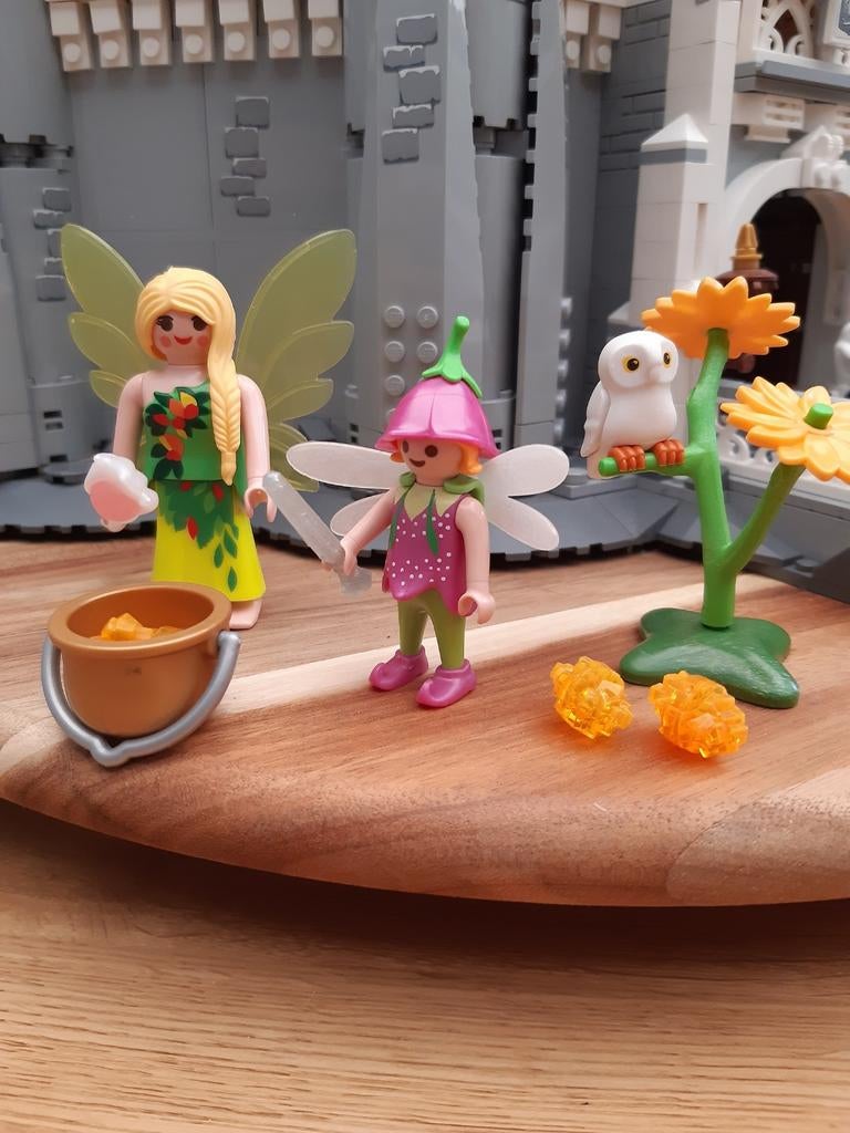 Playmobil feeën met edelstenen, Kinderen en Baby's, Speelgoed | Playmobil, Ophalen of Verzenden, Zo goed als nieuw, Complete set