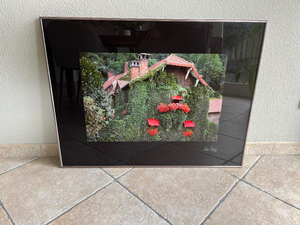 Paul Huf - Huis met klimop (1988, gesigneerd), Ophalen of Verzenden