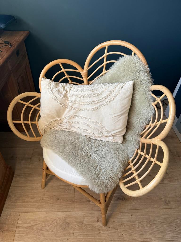 Rotan stoel met lichte beschadiging bij de poot, Ophalen, Gebruikt, Bruin, Riet of Rotan