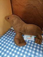 Avonturenpark Hellendoorn walrus knuffel 34 cm, Ophalen of Verzenden