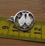 zilveren hanger sterrenbeeld vissen [824], Verzenden, Zo goed als nieuw, Kruis of Symbool, Zilver
