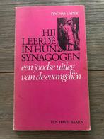 Hij leerde in hun synagogen, Boeken, Gelezen, Jodendom, Ophalen of Verzenden, Lapide