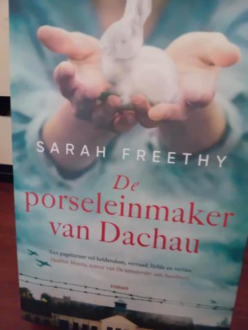 Sarah Freethy - De porseleinmaker van Dachau beschikbaar voor biedingen