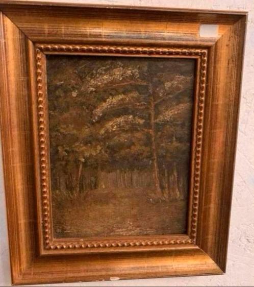 Schilderij mooi klein bos gezicht olieverf kunstenaar ?, Antiek en Kunst, Kunst | Schilderijen | Klassiek, Ophalen of Verzenden