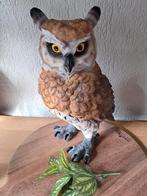 Mooie grote uil te koop, Verzamelen, Ophalen of Verzenden, Nieuw, Dier