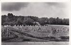 GA1031 Barchem Gezicht en Roggevelden ad Zwiep seweg  Lochem, Verzamelen, Ansichtkaarten | Nederland, Verzenden, 1940 tot 1960