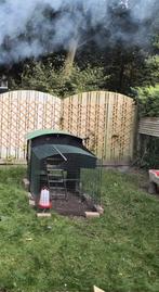 Nestera kippenren 2 m!!!!, Meerdere dieren, Kip
