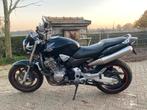 Cb 900 hornet  honda  naked bike, Ophalen, Gebruikt