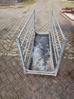 Schapen Klauwenbad Pootbad Voetbad, Dieren en Toebehoren, Schapen, Geiten en Varkens, Meerdere dieren, Schaap