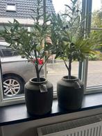 Still collection potten/vazen, Huis en Inrichting, Ophalen