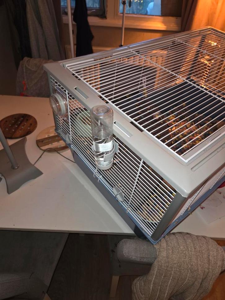 Knaagdierenkooi blauw, Dieren en Toebehoren, Knaagdieren en Konijnen | Hokken en Kooien, Kooi, Minder dan 60 cm, Minder dan 75 cm