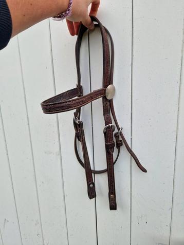 Western hoofdstel cob beschikbaar voor biedingen