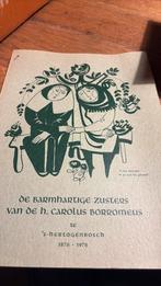 Mooi boekwerk zusters carolus borromeus d hertogenbosch 1976, Ophalen of Verzenden, Zo goed als nieuw
