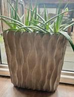 Super mooie (grote) bloempot van PTMD, Tuin en Terras, Ophalen, Overige materialen, 40 cm of meer, Zo goed als nieuw