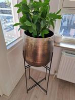 Intratuin pot op standaard, Huis en Inrichting, Woonaccessoires | Zuilen en Pilaren, Ophalen