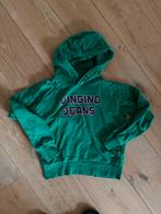 Vingino Jeans Groene Hoodie, Meisje, Trui of Vest, Ophalen of Verzenden, Zo goed als nieuw