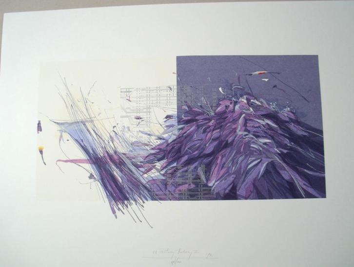 Martin R. Baeyens - (1943) - XX Century Botany II - '94, Antiek en Kunst, Kunst | Etsen en Gravures, Ophalen of Verzenden