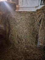 1rol  hooi. Bijna gratis, Ophalen, Vee