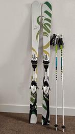Ski's (Fischer), Ophalen, 140 tot 160 cm, Skiën, Ski's