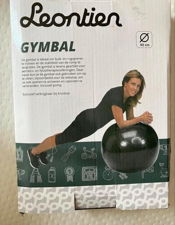 Gymbal gym bal trainingsbal zit bal fitness ball gymbal beschikbaar voor biedingen