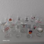 Bierglazen van Belgische biermerken 12 stuks, Ophalen of Verzenden, Zo goed als nieuw, Glas of Glazen, Overige merken