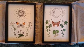 Schilderijen inclusief lijsten beschikbaar voor biedingen