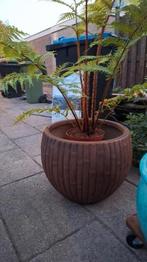 Bloempot Bamboolook Bamboe Bamboo, Tuin en Terras, Ophalen of Verzenden, Zo goed als nieuw, Rond, Kunststof