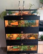 NIEUW ‼️ TERRARIUM OSB ( diverse maten ), Dieren en Toebehoren, Reptielen en Amfibieën | Toebehoren, Ophalen, Nieuw, Terrarium of Paludarium