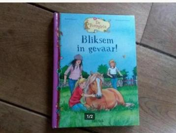 Melanie Brockamp, De Ponygirls- Bliksem in gevaar beschikbaar voor biedingen