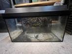 Aquarium te koop, Dieren en Toebehoren, Ophalen, Zo goed als nieuw, Leeg aquarium