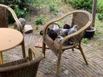 Gratis, Haantjes, Dieren en Toebehoren, Pluimvee, Mannelijk, Kip