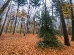 Bosgrond gezocht. Ik doe graag een vrijblijvend bod, Tuin en Terras, Minder dan 3 m³, Ophalen