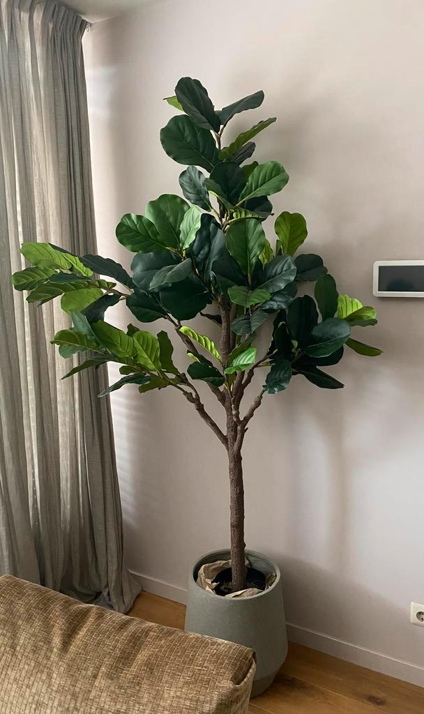 Ficus Lyrata Kunstplant 210 cm Tabaksplant, Huis en Inrichting, Kamerplanten, Ficus, 150 tot 200 cm, Groene kamerplant, Halfschaduw