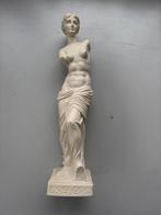 (E) Beeld Venus van Milo –klassieke gipsen buste, 55 cm hoog, Verzenden, Gebruikt, Mens