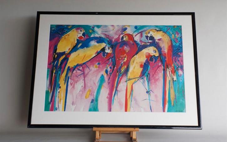 Papegaaien in Kleur, Zwart Kader - Groot Werk, Antiek en Kunst, Kunst | Schilderijen | Modern, Ophalen